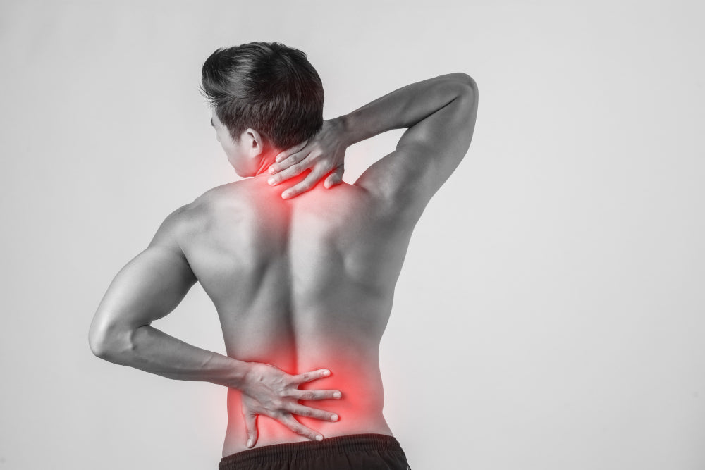CBD et rcupration musculaire : calmer les douleurs aprs le sport - Mon Petit Herbier CBD et rcupration musculaire : calmer les douleurs aprs le sport - Mon Petit Herbier
