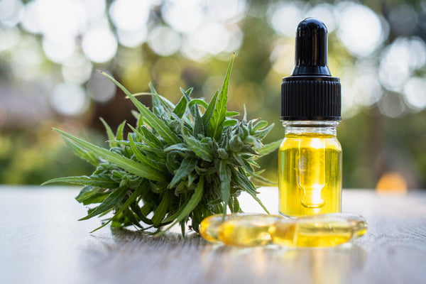 Le CBD est-il addictif ? Rponses et explications - Mon Petit Herbier