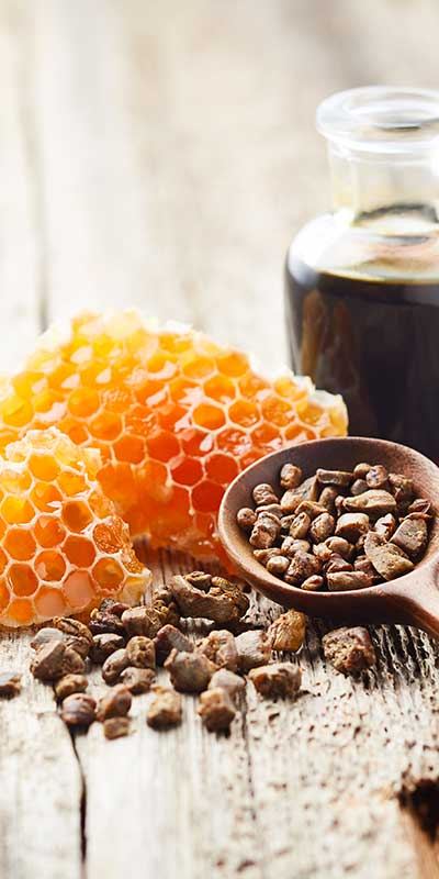 Huile calmante chanvre, miel, propolis - L' Chanvre : spécialiste