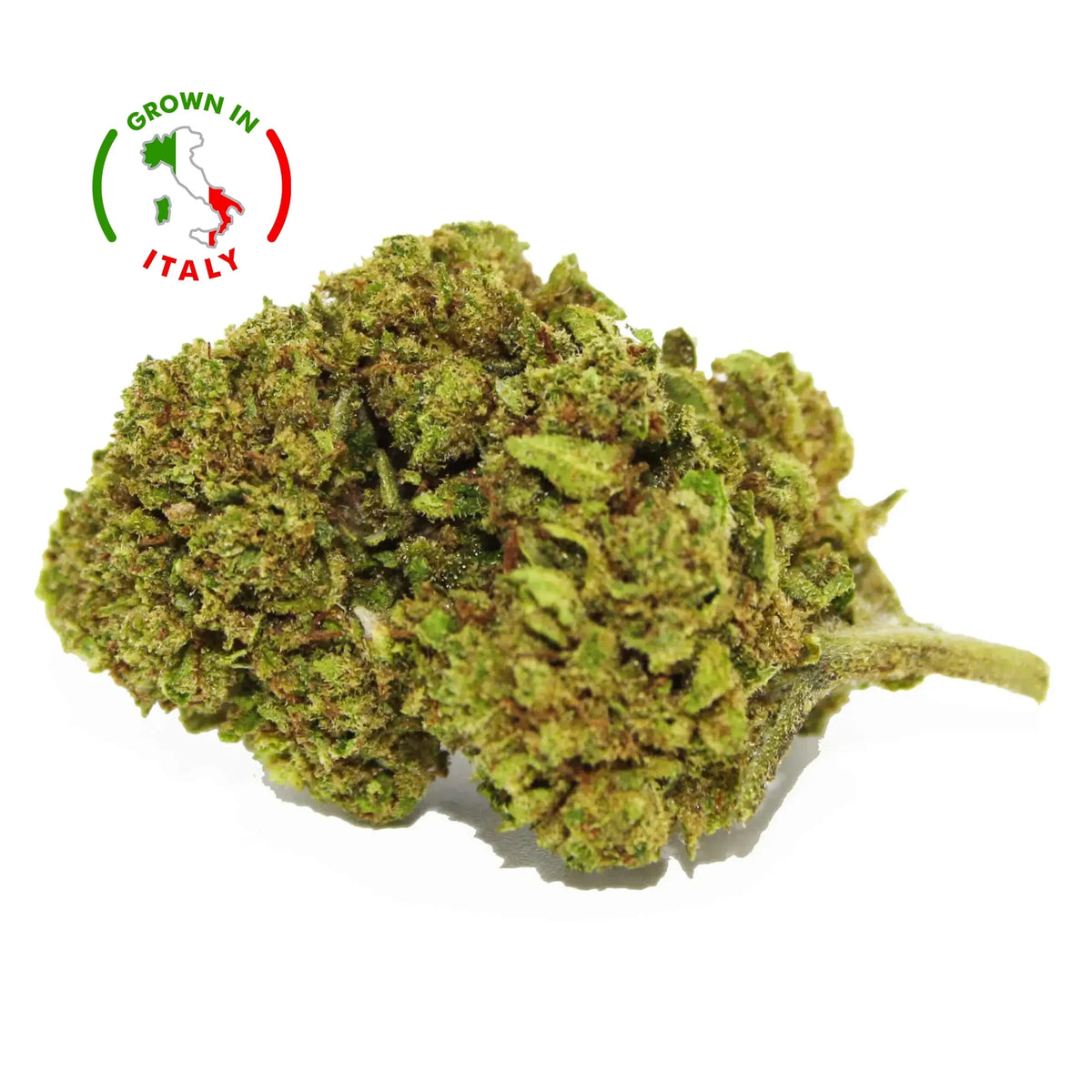 Fleur CBD 6% Blue Cheese en Vrac - Outdoor - Mon Petit Herbier