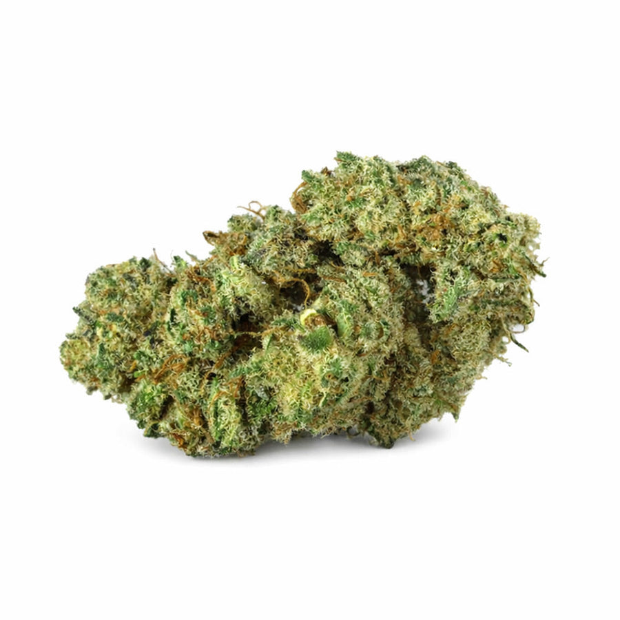 Fleur CBD Gelato CBN+ – Indoor, tête de fleur – Mon Petit Herbier