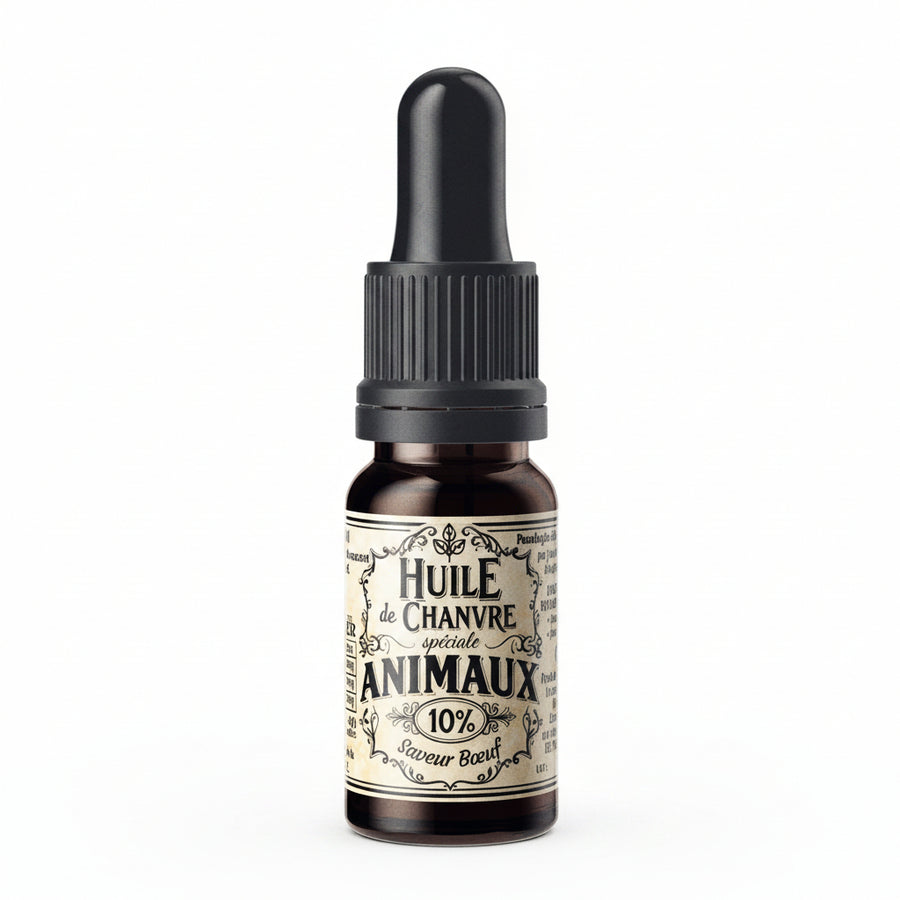 Huile CBD Chien 10% Boeuf - Mon Petit Herbier