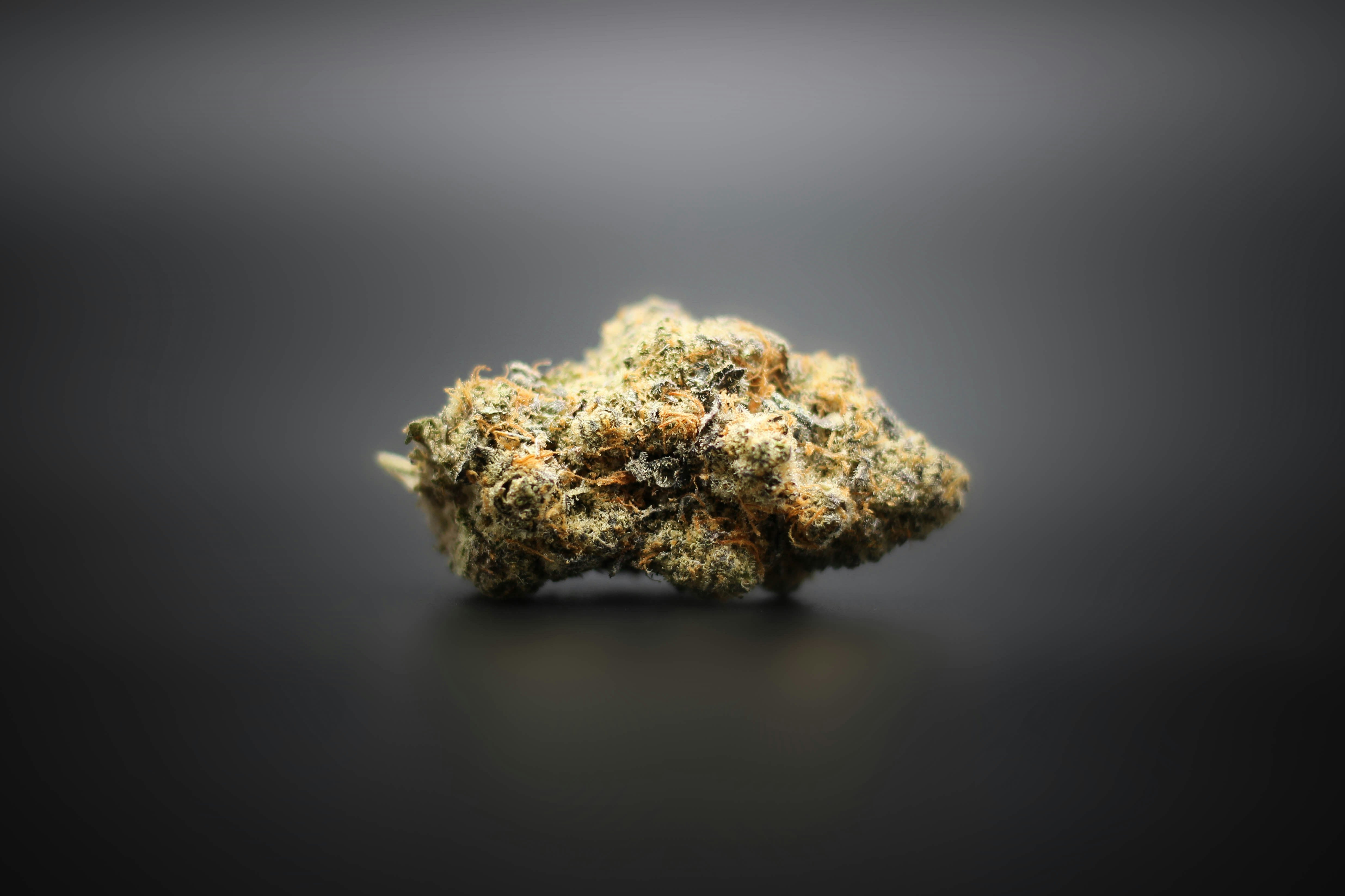 Peut-on consommer du CBD tous les jours ? - Mon Petit Herbier