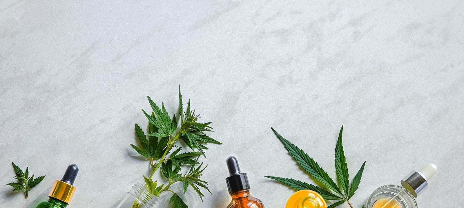 CBD : drogue ou pas ? La réalité sur le cannabidiol - Mon Petit Herbier