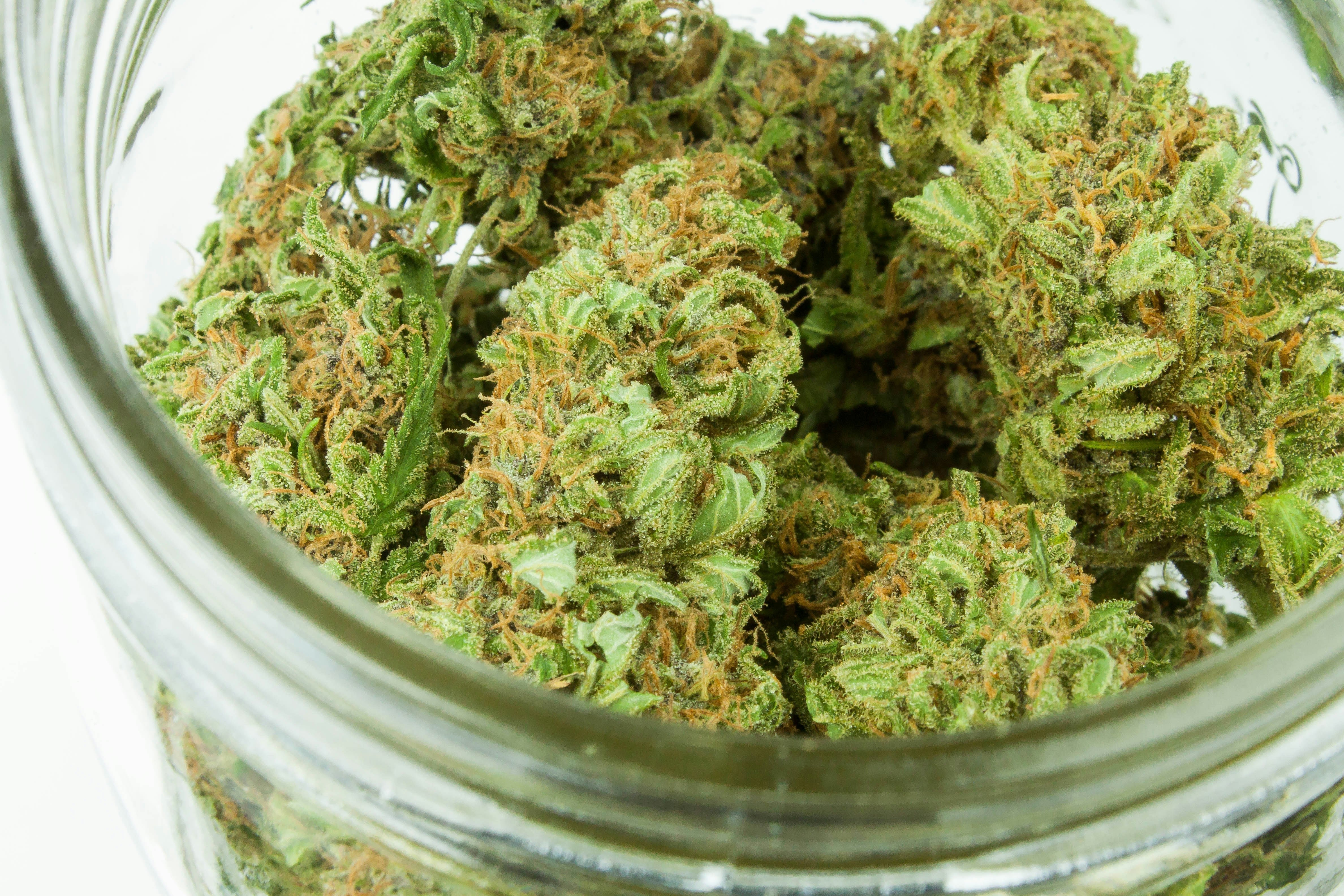 Tout savoir sur le CBD : origine, effets et produits commercialisés - Mon Petit Herbier