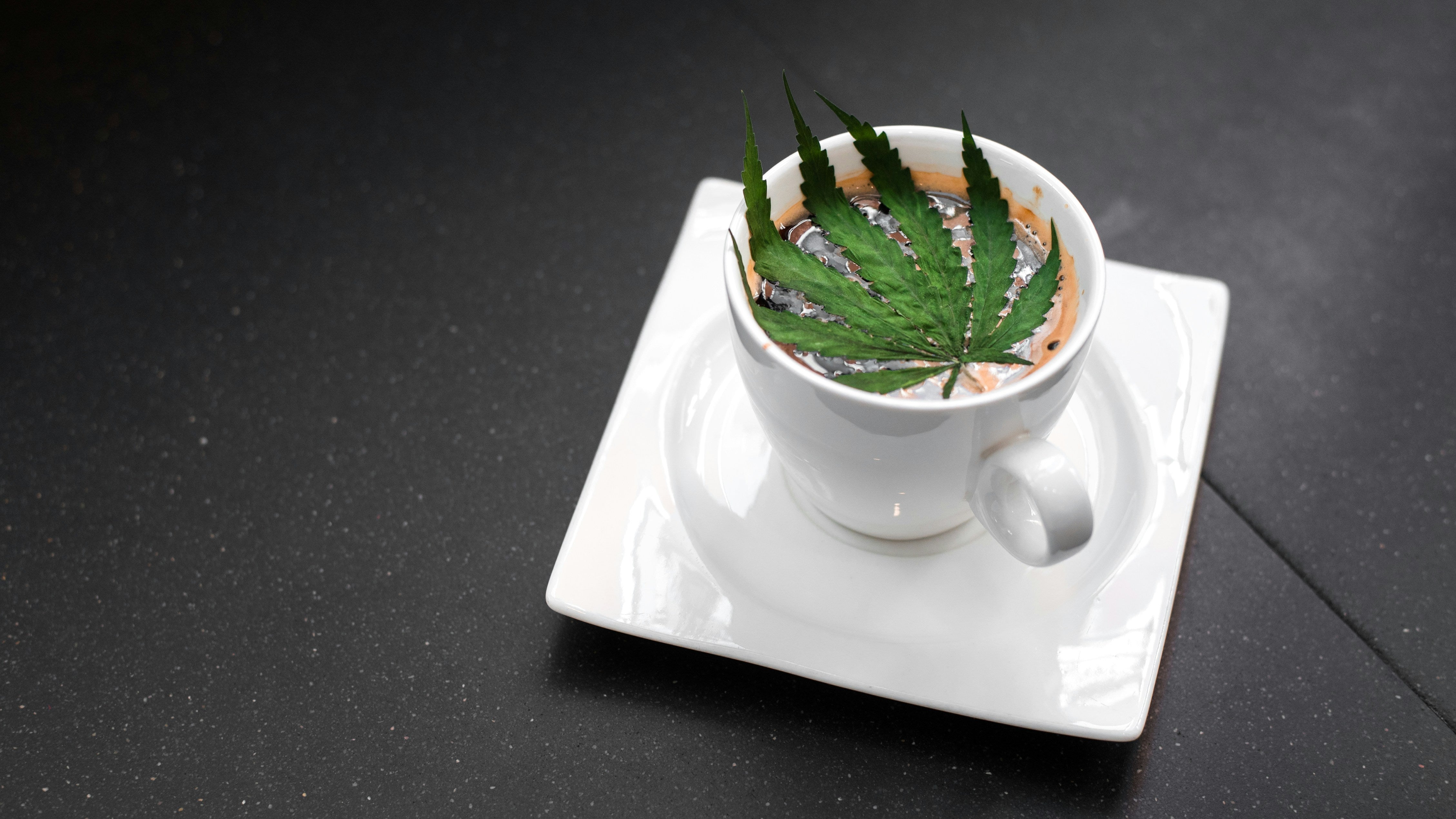 Comment consommer du CBD : guide complet pour débutants - Mon Petit Herbier