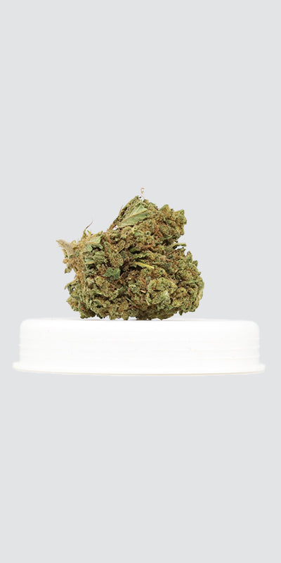 Fleurs CBD pas chères - Mon Petit Herbier