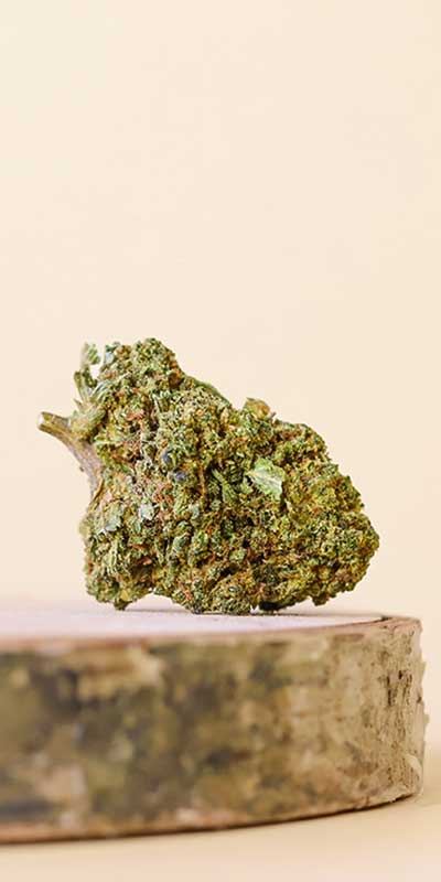 Fleurs CBD Green House - Mon Petit Herbier