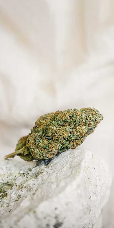 Fleurs CBD Indoor - Mon Petit Herbier