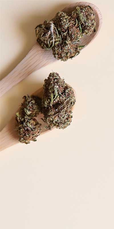 Fleurs CBD Outdoor - Mon Petit Herbier