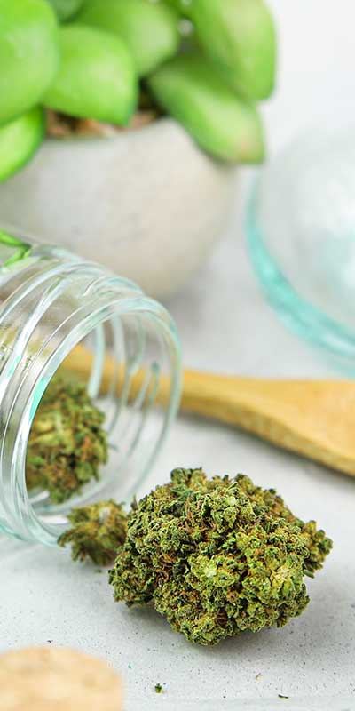 Fleurs CBD - Mon Petit Herbier