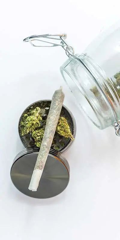 CBD pré-roulés - Mon Petit Herbier
