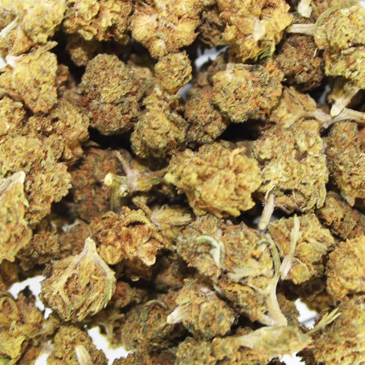 Fleur CBD Baby Buds - Greenhouse &amp; Outdoor - Mon Petit Herbier