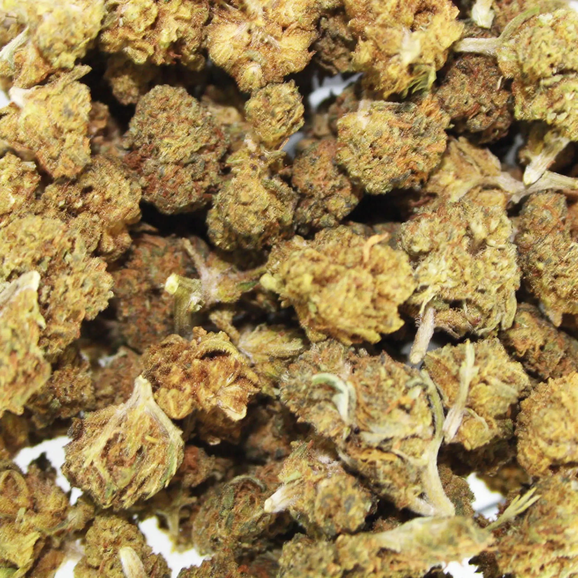 Fleur CBD Baby Buds - Greenhouse & Outdoor - Mon Petit Herbier
