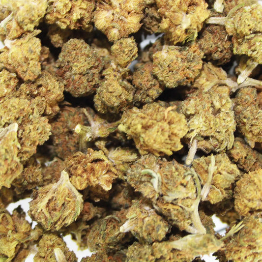 Fleur CBD Baby Buds - Greenhouse & Outdoor - Mon Petit Herbier