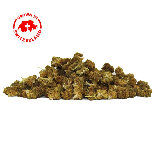 Fleur CBD Baby Buds - Greenhouse & Outdoor - Mon Petit Herbier