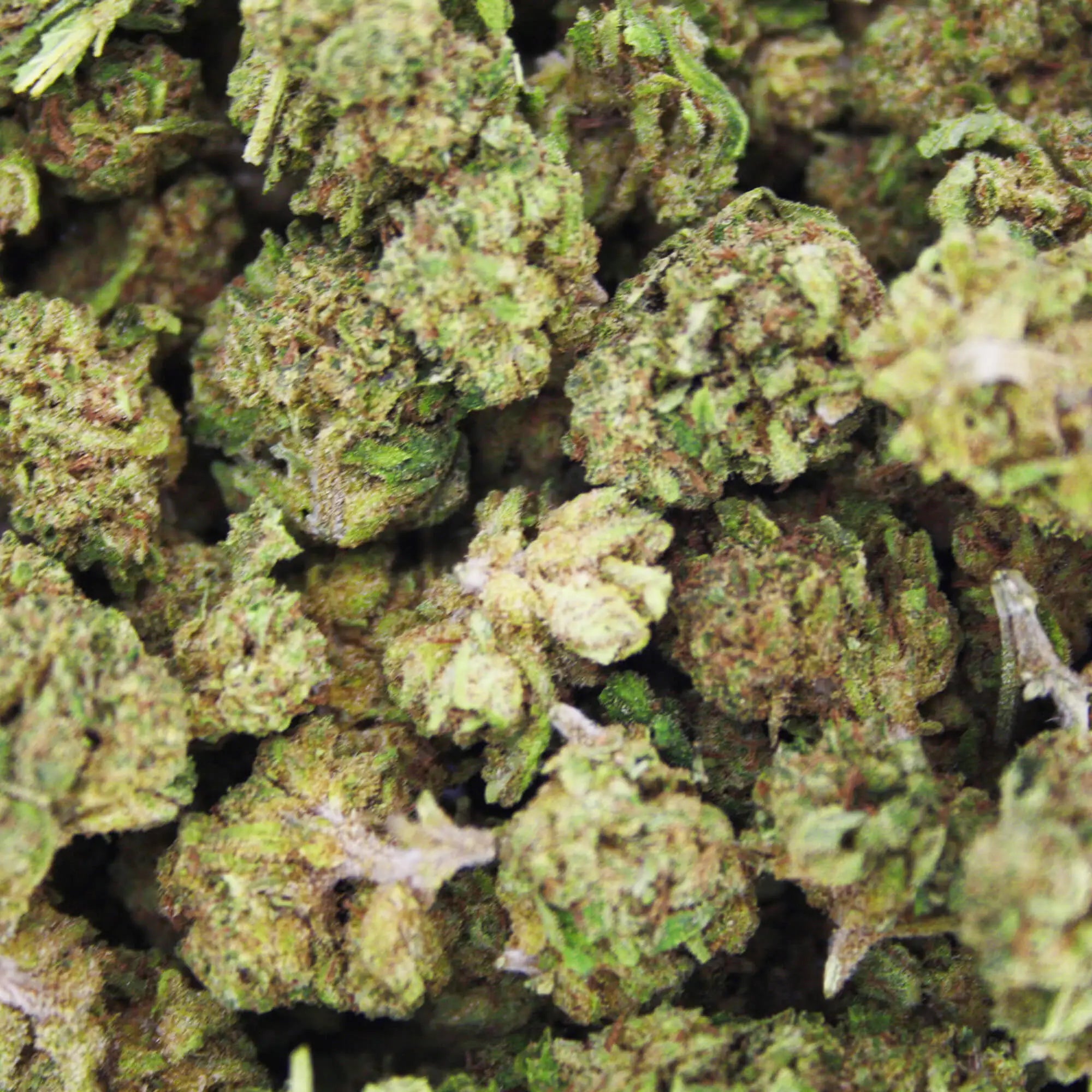 Fleur CBD 6% Blue Cheese en Vrac - Outdoor - Mon Petit Herbier