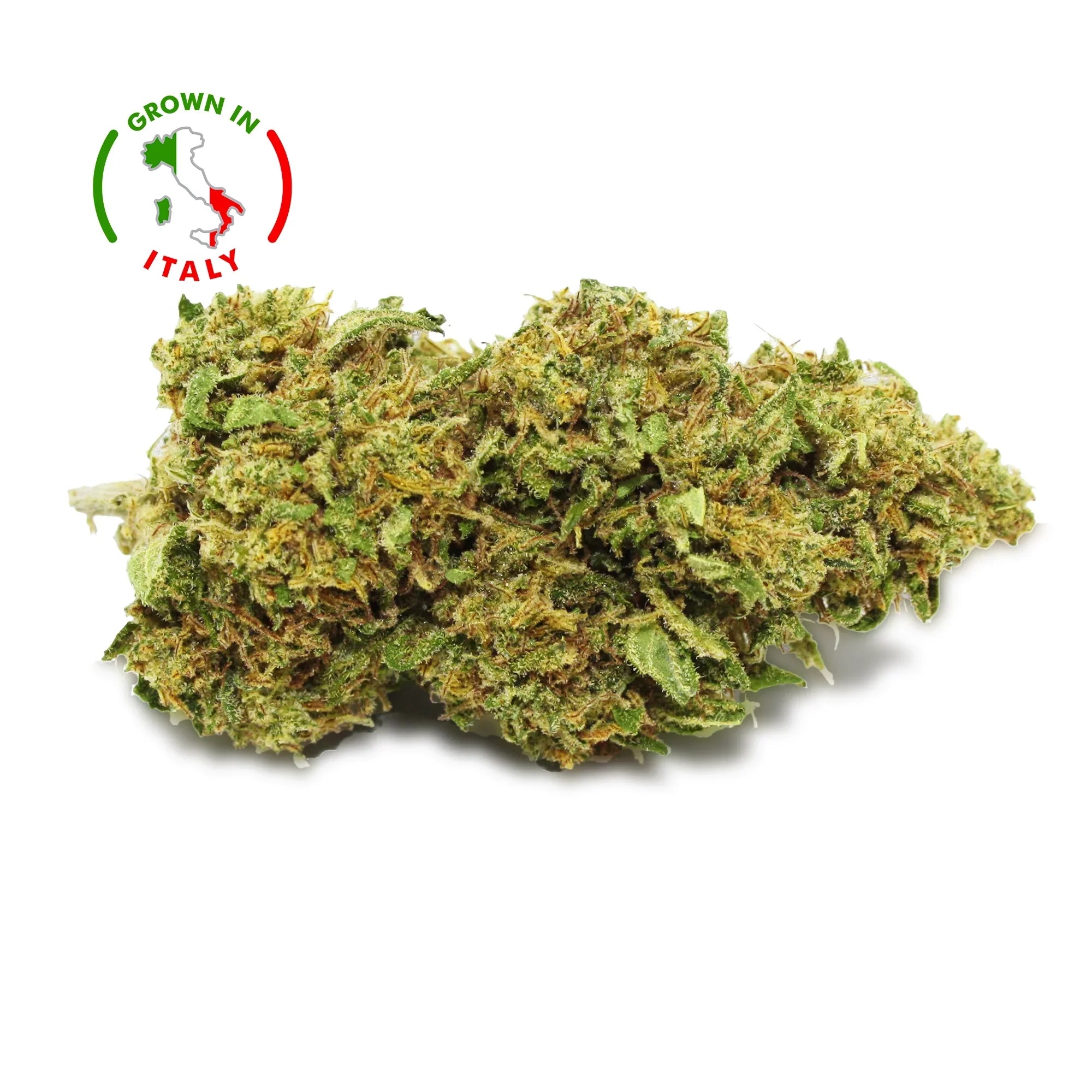 Fleur CBD Berry Buddha - Green House - Mon Petit Herbier