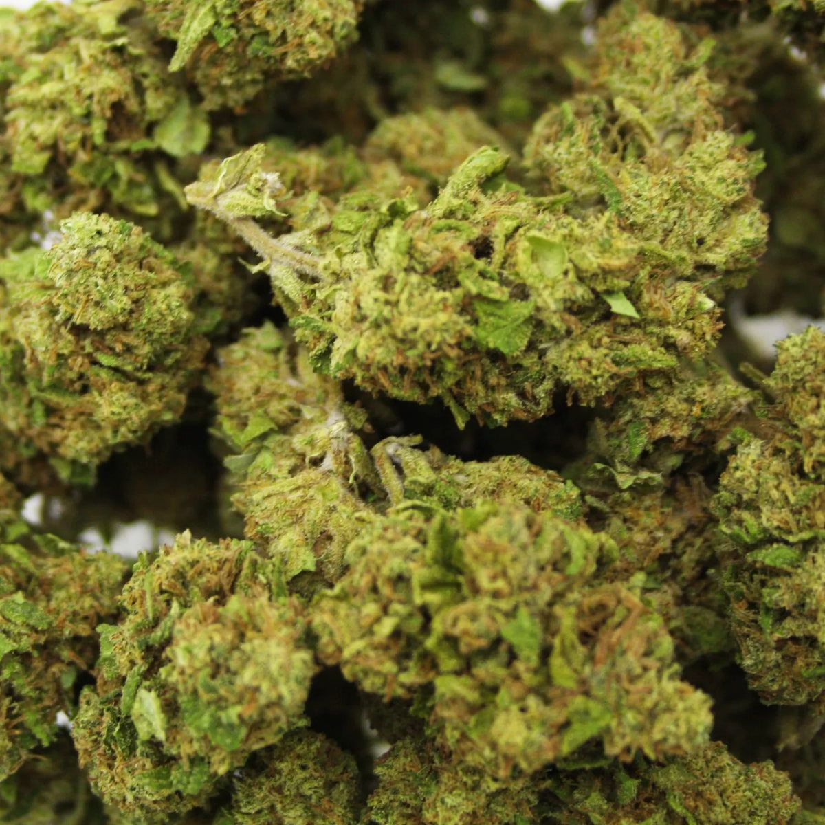 Fleur CBD Berry Buddha en Vrac - Green House - Mon Petit Herbier