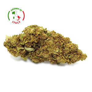 Thumbnail Fleur CBD Mazzal Kush en Vrac - Green House - Mon Petit Herbier