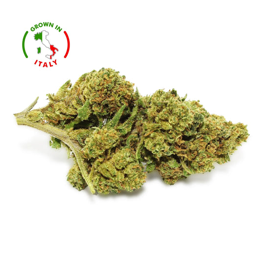 Fleur CBD Peach Buddha - Green House - Mon Petit Herbier