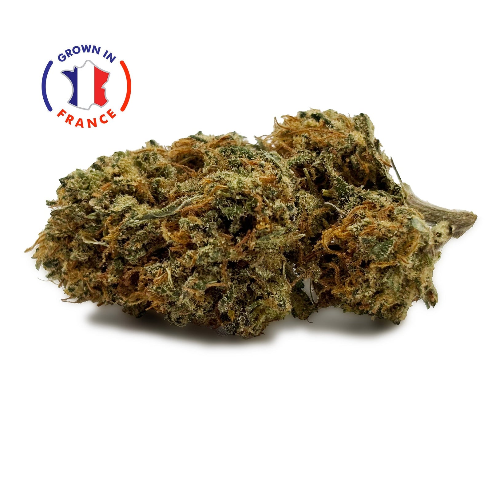 Zoom Fleur CBD 18% Lemon Diesel en Vrac - Green House - Mon Petit Herbier