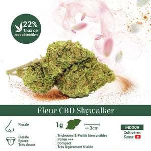 Thumbnail Fleur CBD 25% Super Channel en Vrac - Indoor - Mon Petit Herbier