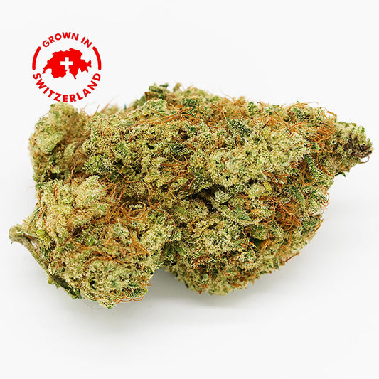 Fleur CBD 29% Blueberry Cheese en Vrac - Indoor - Mon Petit Herbier