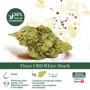 Thumbnail Fleur CBD 25% Super Channel en Vrac - Indoor - Mon Petit Herbier