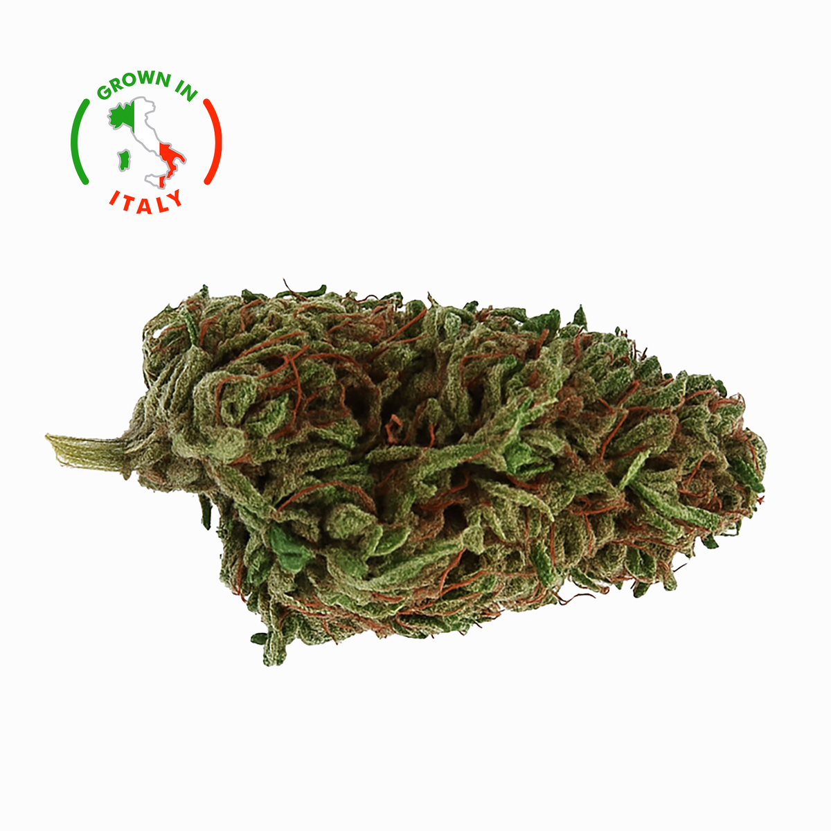 Fleur CBD 26% Green Poison en Vrac - Green House