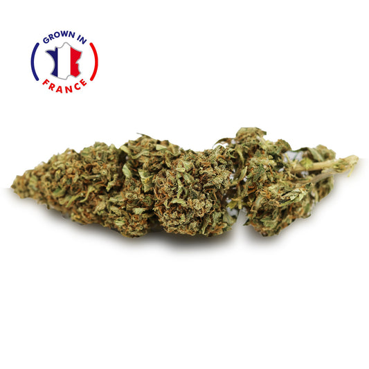 Fleur CBD Mango en Vrac - Green House - Mon Petit Herbier