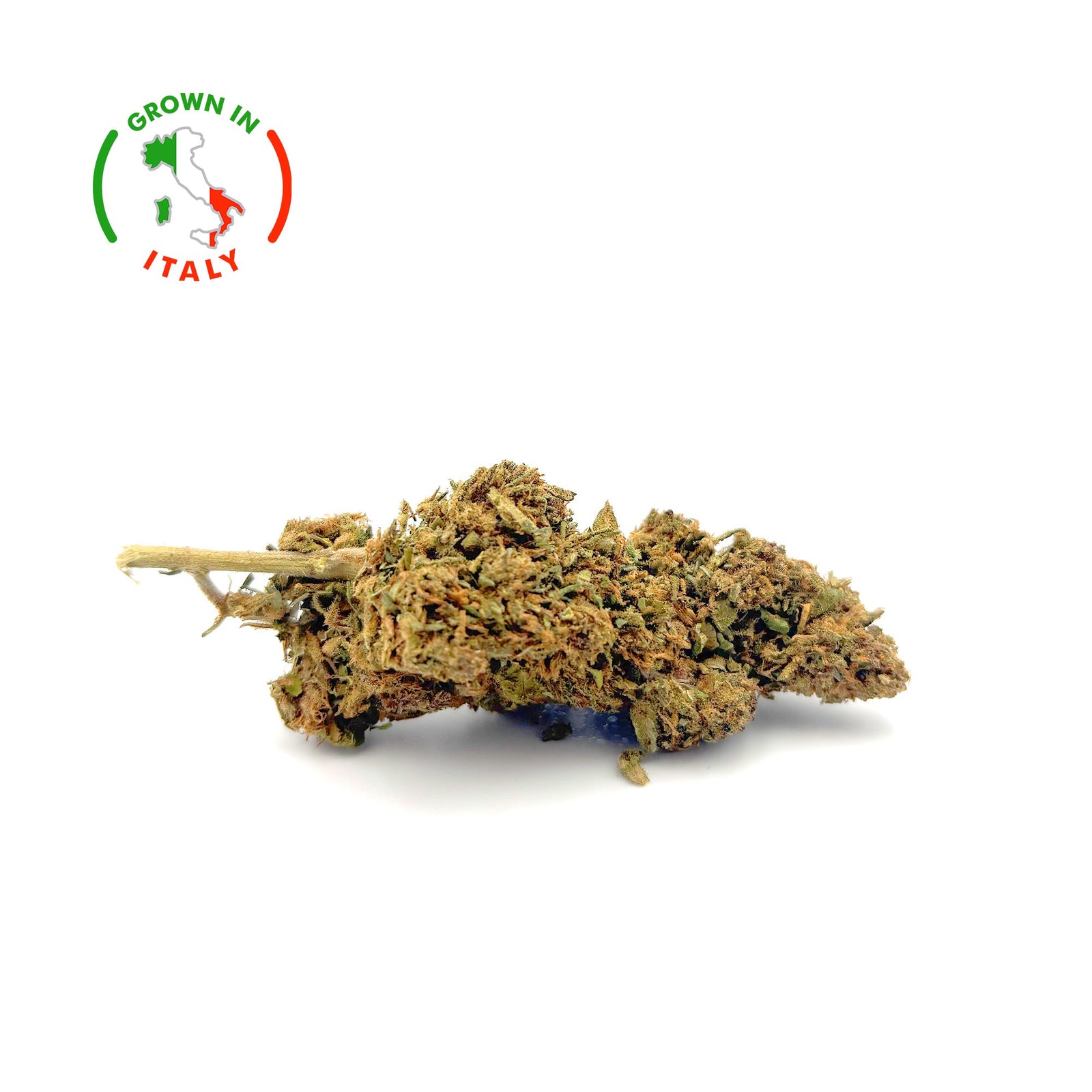 Zoom Fleur CBD Pink Panther en Vrac - Green House - Mon Petit Herbier