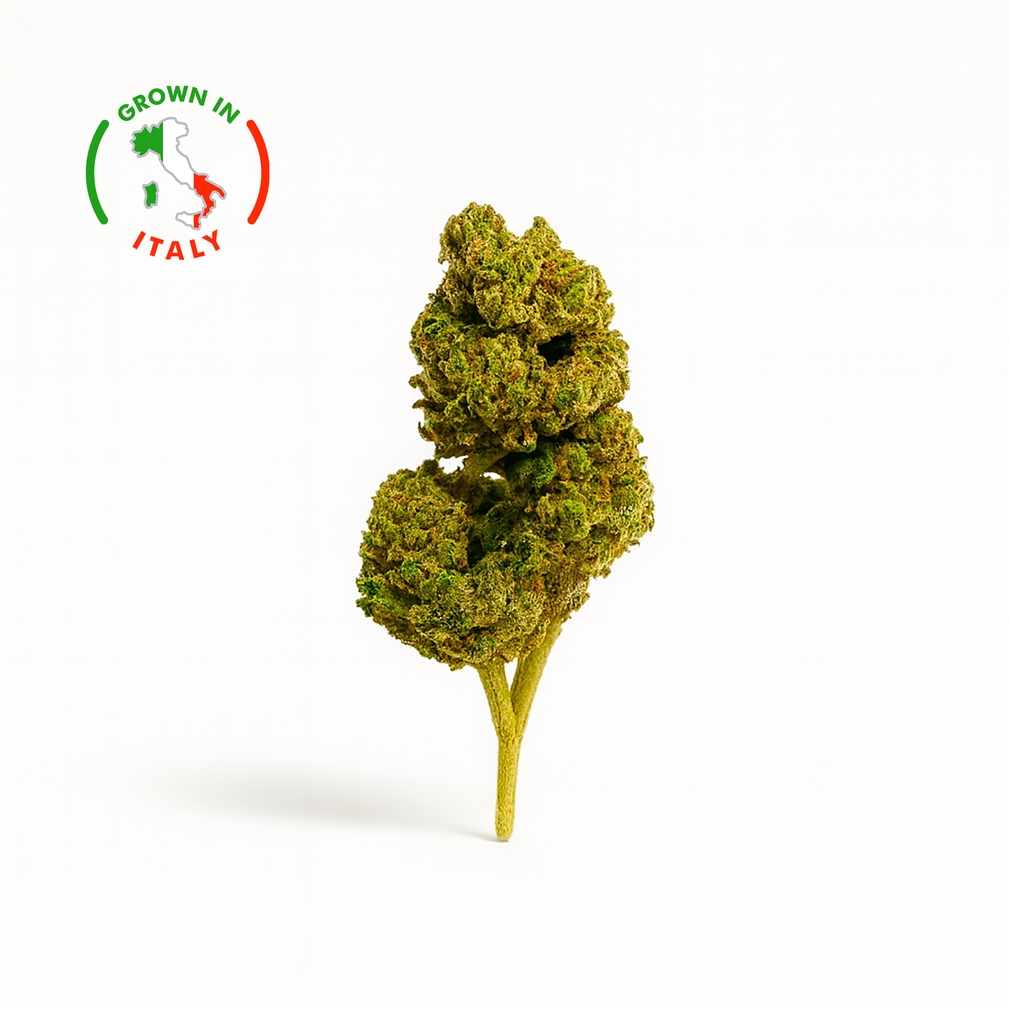 elfbar nachfüll pod läuft aus Super Skunk CBD Green House 14% - Fleurs de CBD