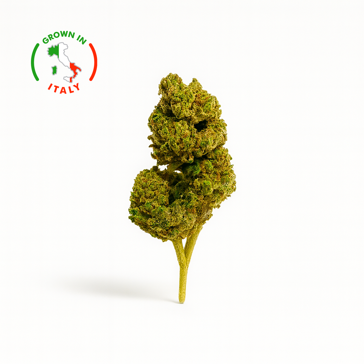 Fleur CBD Super Skunk en Vrac - Green House