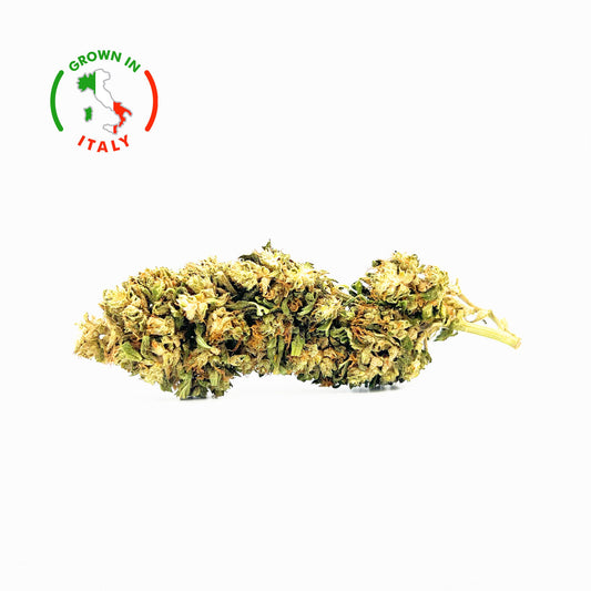 Fleur White CBG en Vrac - Outdoor - Mon Petit Herbier
