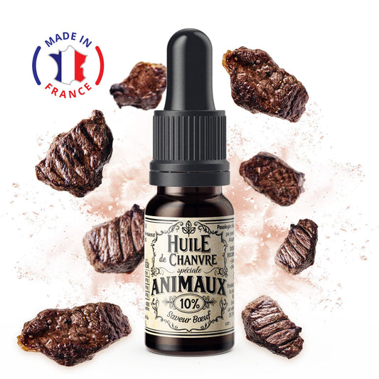 Huile CBD Chien 10% Boeuf - Mon Petit Herbier