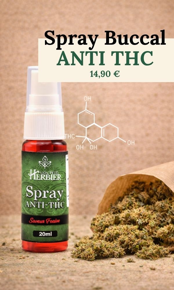 Mon Petit Herbier - Expert du CBD et du bien-tre vgtal Mon Petit Herbier - Expert du CBD et du bien-tre vgtal