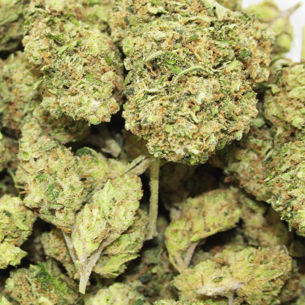 Fleur CBD 11% Super Channel en Vrac - Indoor - Mon Petit Herbier