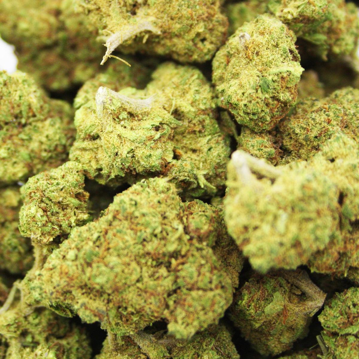 Fleur CBD Tropicana en Vrac - Indoor - Mon Petit Herbier