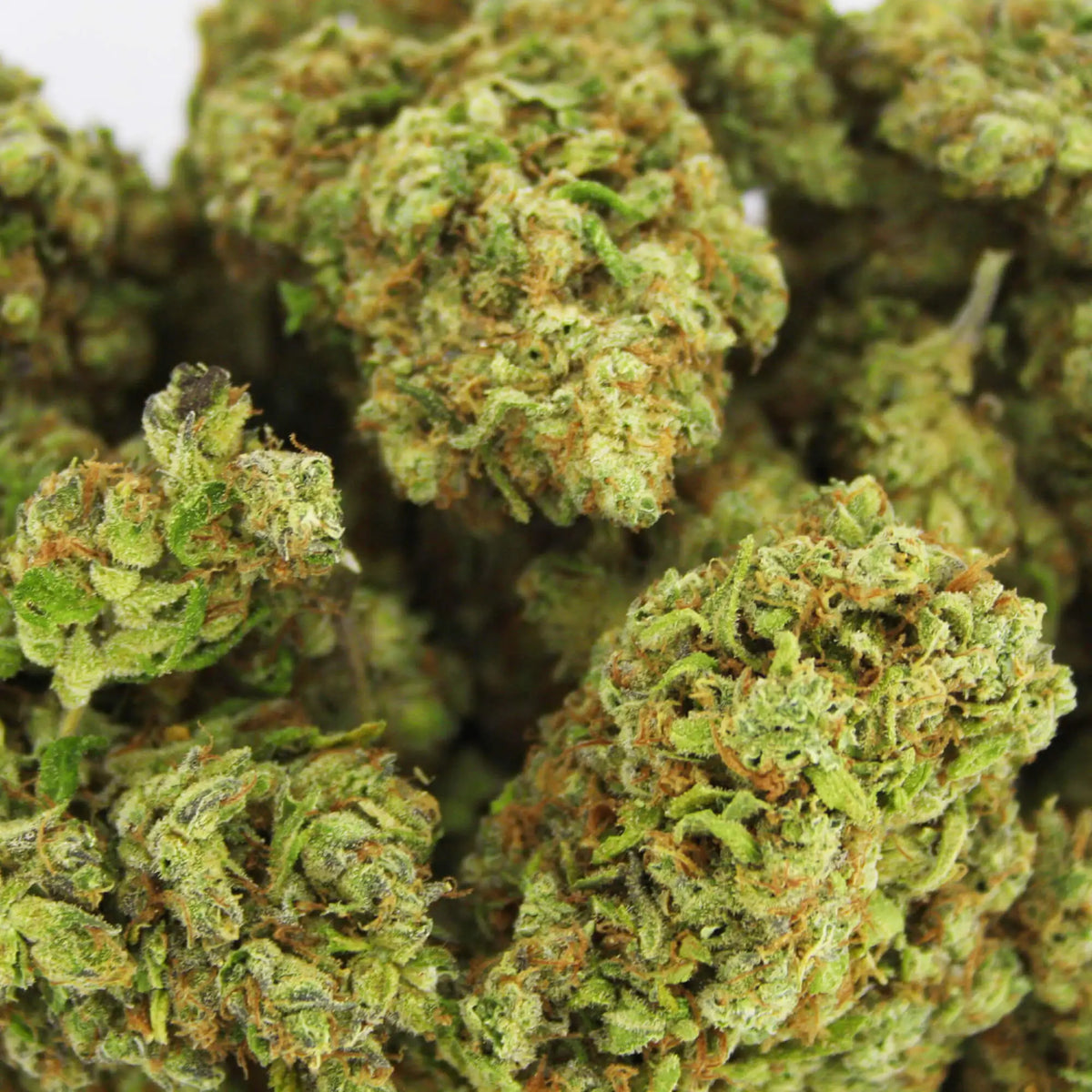 Fleur CBD 4% Victory Diamond en Vrac - Indoor Hydro - Mon Petit Herbier