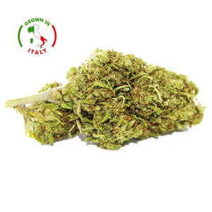 Thumbnail Fleur CBD 15% Watermelon en Vrac - Green House