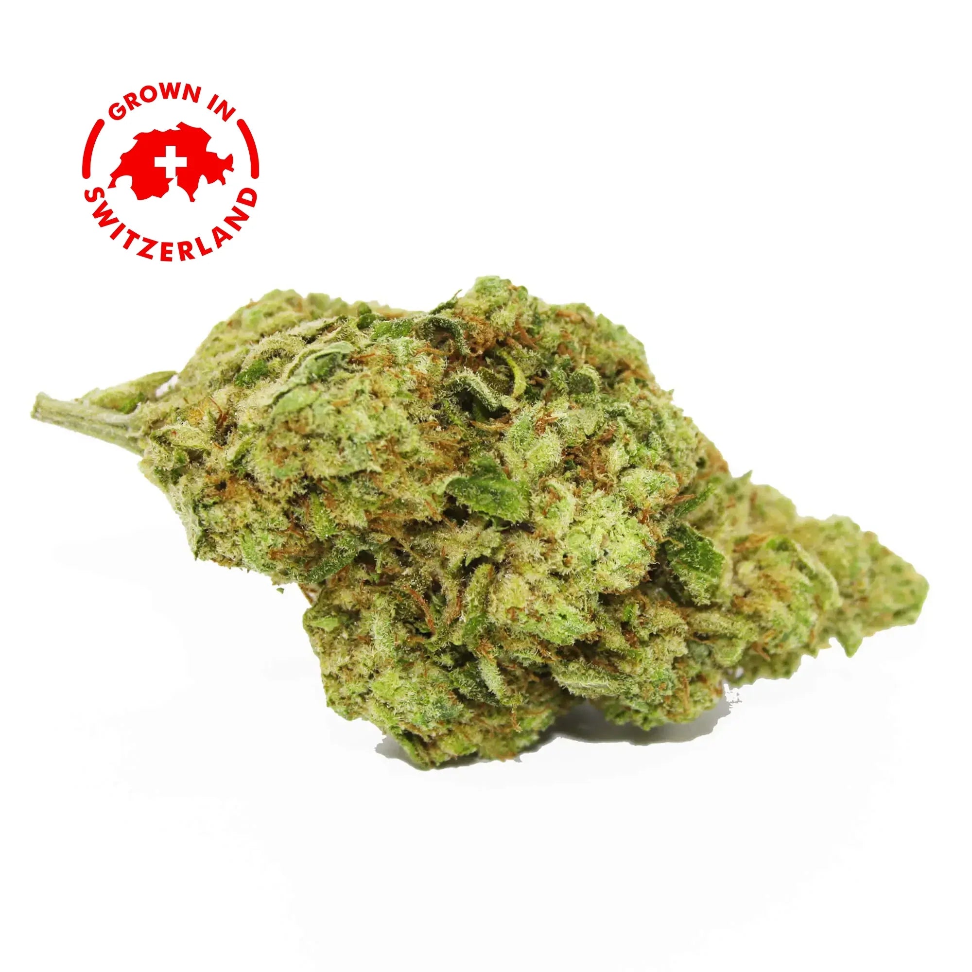 Fleur CBD 5% White Shark en Vrac - Indoor Hydro - Mon Petit Herbier