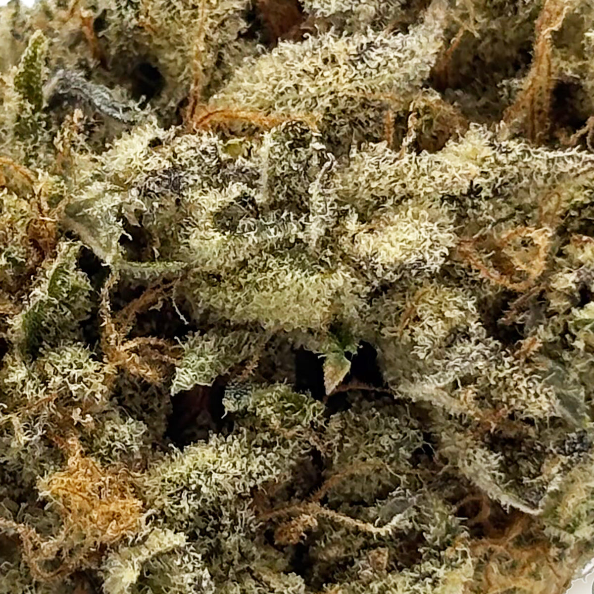 Zoom Fleur CBD 18% Dark Saphir en Vrac - Indoor - Mon Petit Herbiera