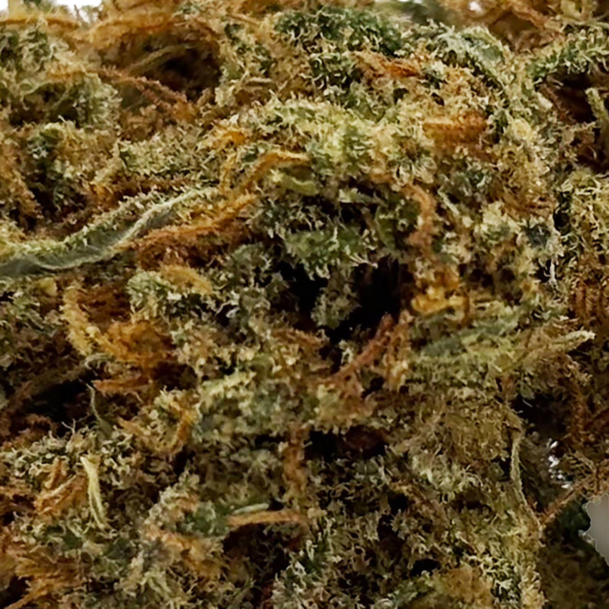 Zoom Fleur CBD 18% Lemon Diesel en Vrac - Green House - Mon Petit Herbier