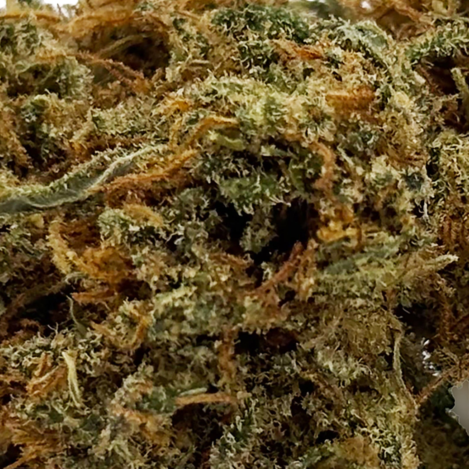 Zoom Fleur CBD 18% Lemon Diesel en Vrac - Green House - Mon Petit Herbier