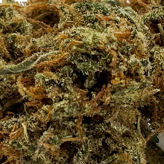 Zoom Fleur CBD 18% Lemon Diesel en Vrac - Green House - Mon Petit Herbier