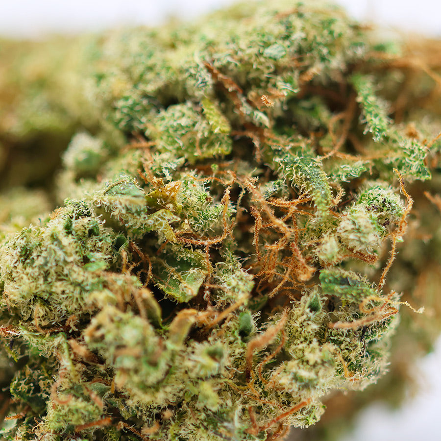 Zoom Fleur CBD 29% Blueberry Cheese en Vrac - Indoor - Mon Petit Herbier