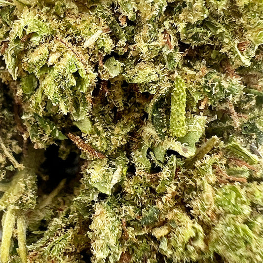 Zoom Fleur CBD Bubba Kush - Indoor- Mon Petit Herbier