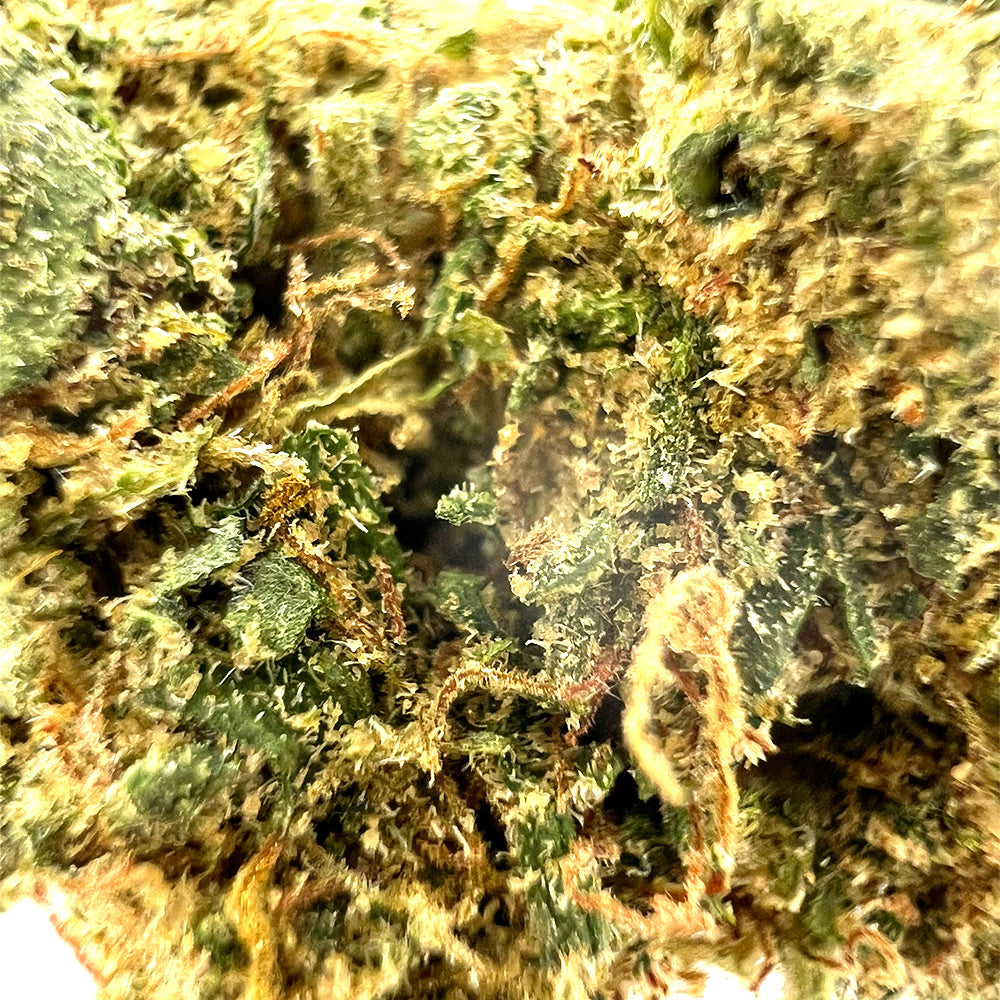 Zoom Fleur CBD Jelly Donut