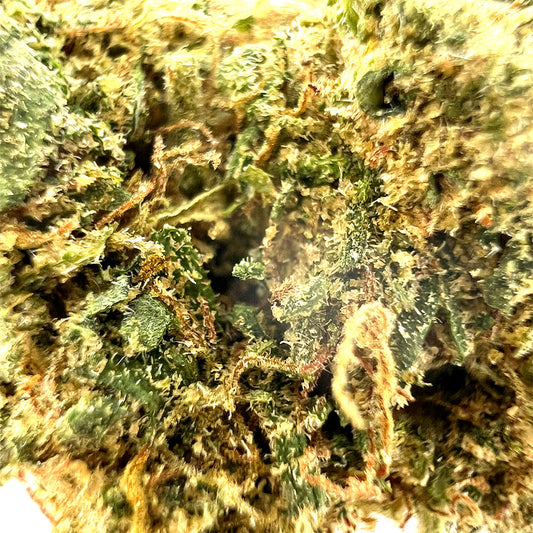 Zoom Fleur CBD Jelly Donut